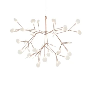 Heracleum III