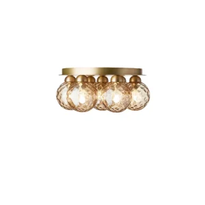 Apiales 7 Plafond