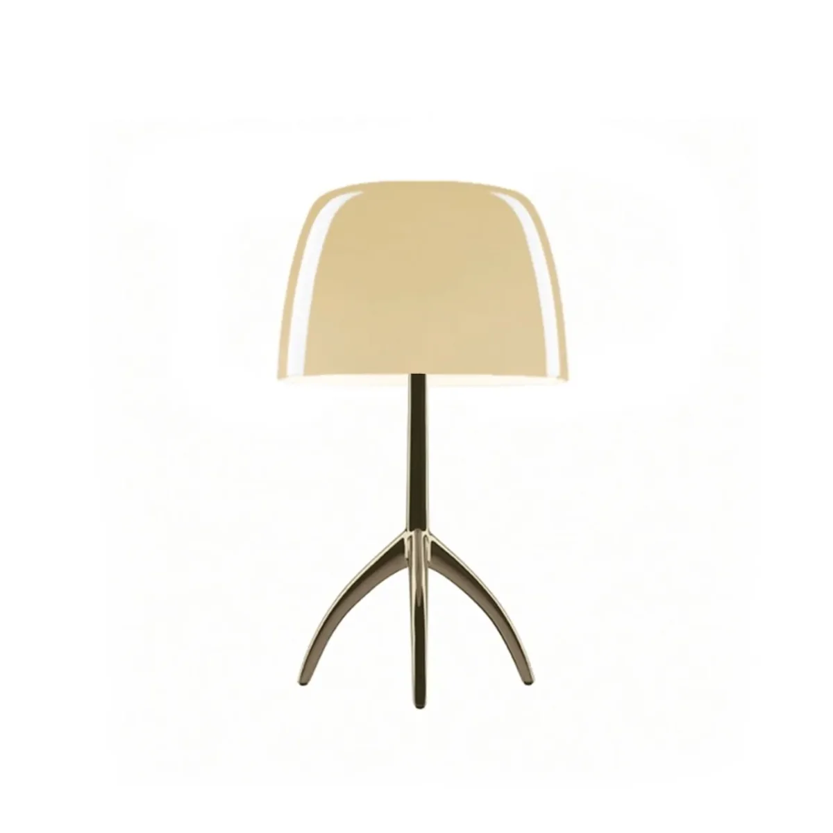 Lumiere Piccola - Image 2